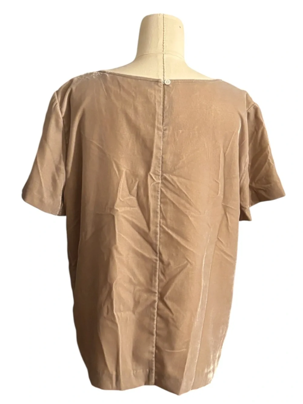 J. Crew Tan Velvet Short Sleeve Blouse